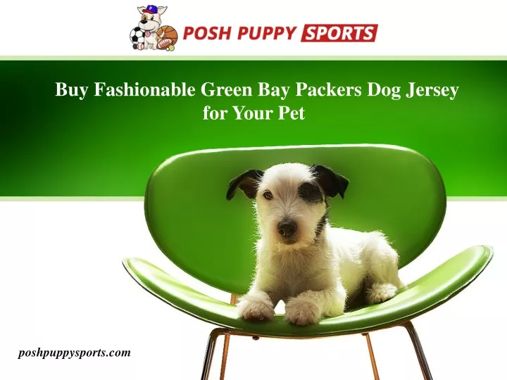 buy fashionable green bay packers dog jersey