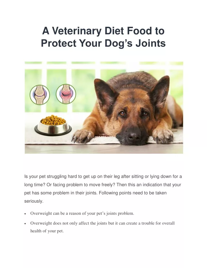 a veterinary diet food to protect your