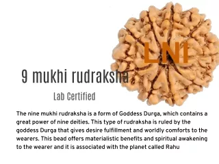 9 mukhi rudraksha