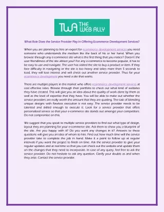 what role does the service provider play