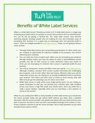 Benefits of White Label Services