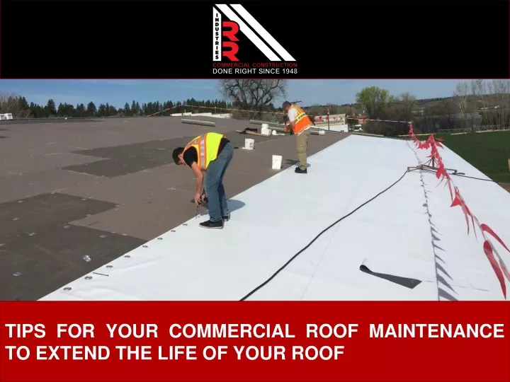 tips for your commercial roof maintenance