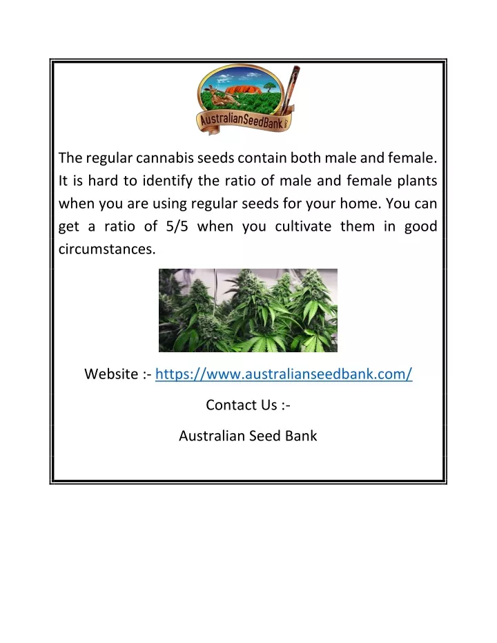 the regular cannabis seeds contain both male
