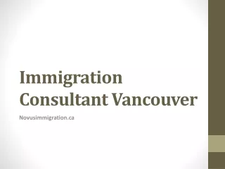 Immigration Consultant Vancouver Novusimmigration ca