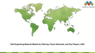 self organizing network market by offering future