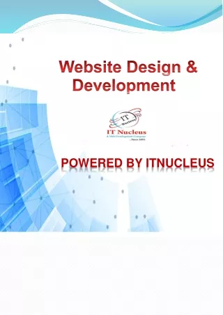 Website Design Company | Website Designing & Website Development Company in Delhi | IT Nucleus