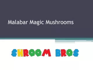 malabar magic mushrooms