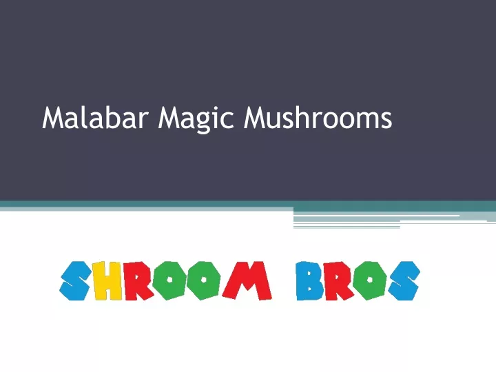 malabar magic mushrooms
