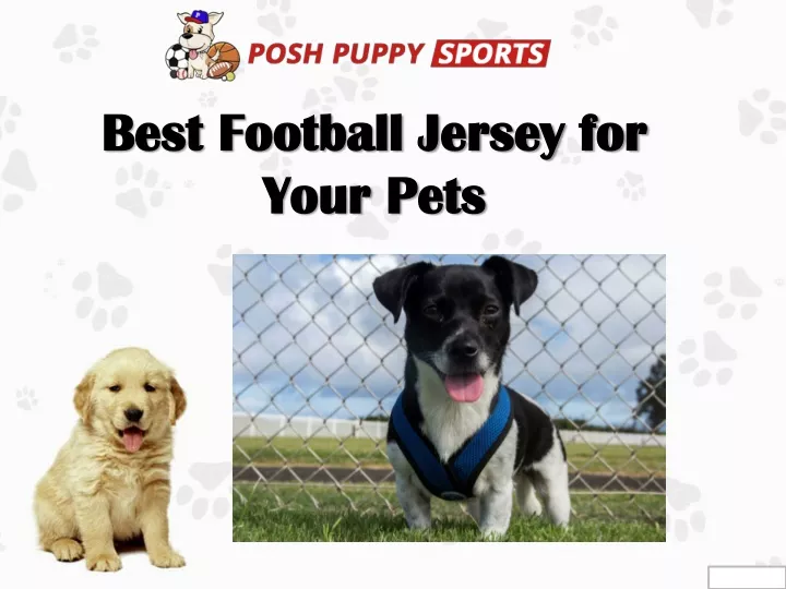 best football jersey for your pets
