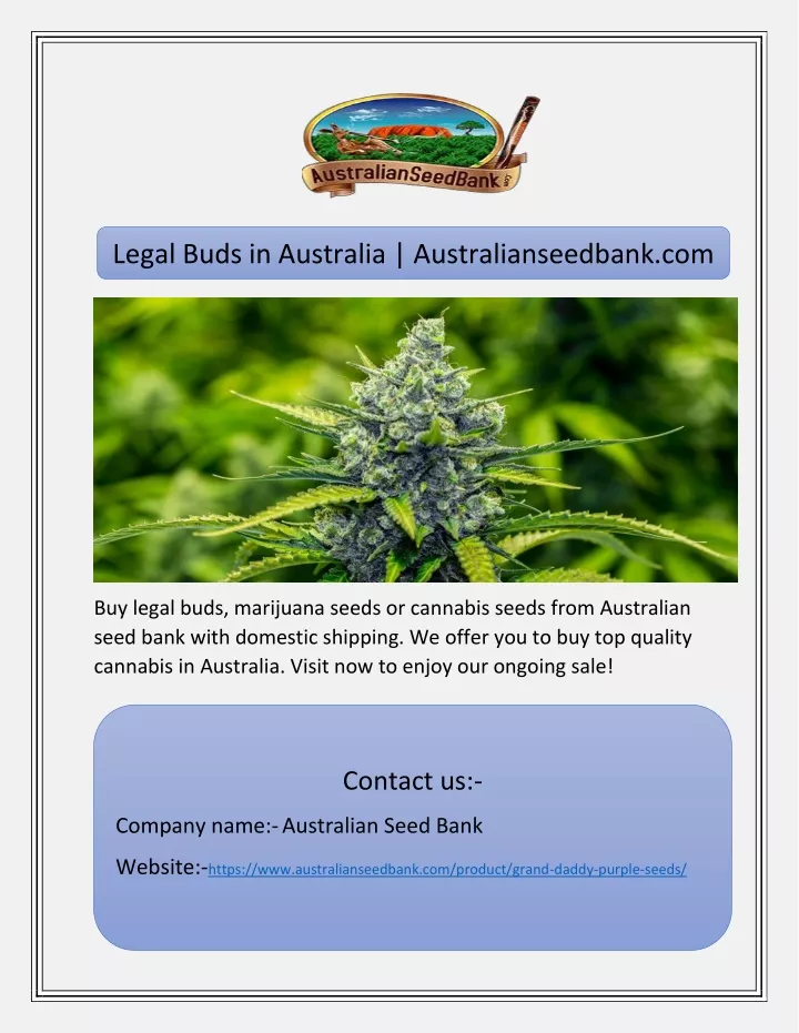 legal buds in australia australianseedbank com