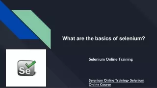 what are the basics of selenium