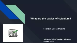 what are the basics of selenium