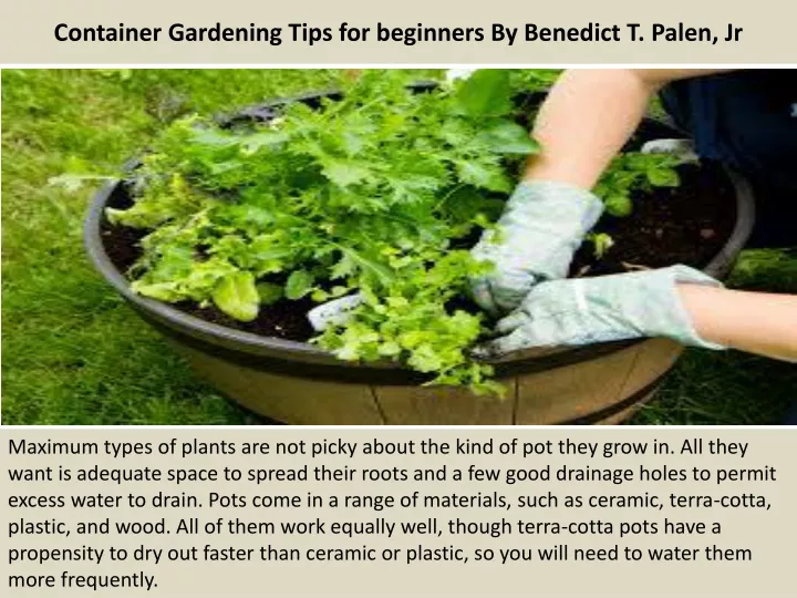 container gardening tips for beginners by benedict t palen jr