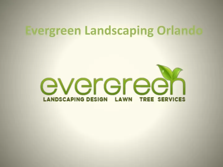 evergreen landscaping orlando