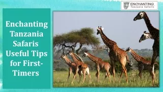 Tips for Wildlife Safari and Beach Holidays in Zanzibar Tanzania
