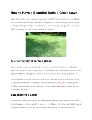 how to have a beautiful buffalo grass lawn