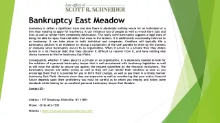 bankruptcy east meadow