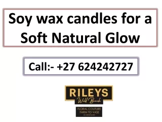 soy wax candles for a soft natural glow