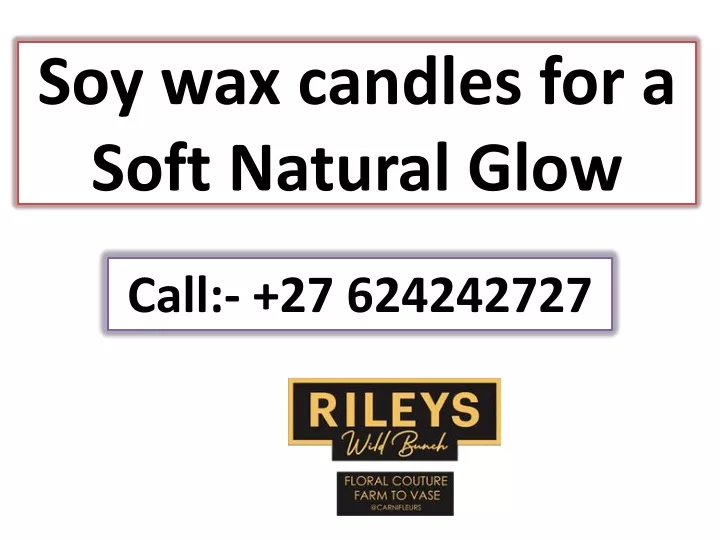 soy wax candles for a soft natural glow