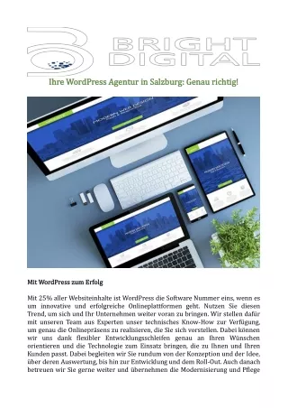 ihre wordpress agentur in salzburg genau richtig