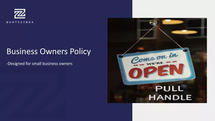 business owners policy