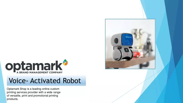 voice activated robot