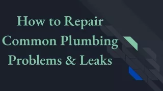 PPT - 4 Common Causes Of Plumbing Leaks PowerPoint Presentation, Free ...