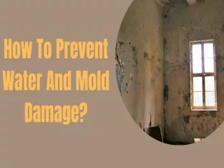 How To Prevent Water And Mold Damage?