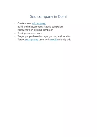 seo company in delhi
