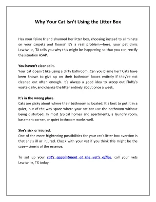 why your cat isn t using the litter box