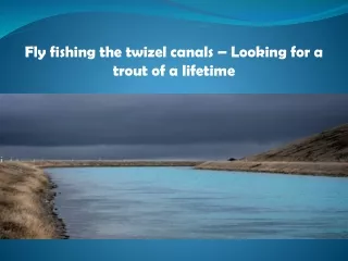 Fly fishing the twizel canals – Looking for a trout of a lifetime