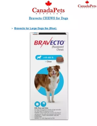 Bravecto for Large Dogs 44-88lbs (Blue)- Canadapetssupplies
