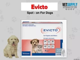spot on for dogs