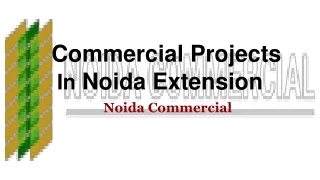 Commercial project in noida extension
