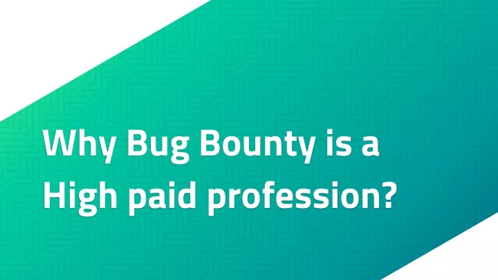 why bug bounty is a high paid profession