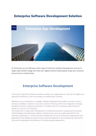 enterprise software development solution