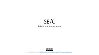 Original Sales EXcellence Canvas