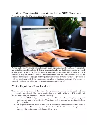who can benefit from white label seo services