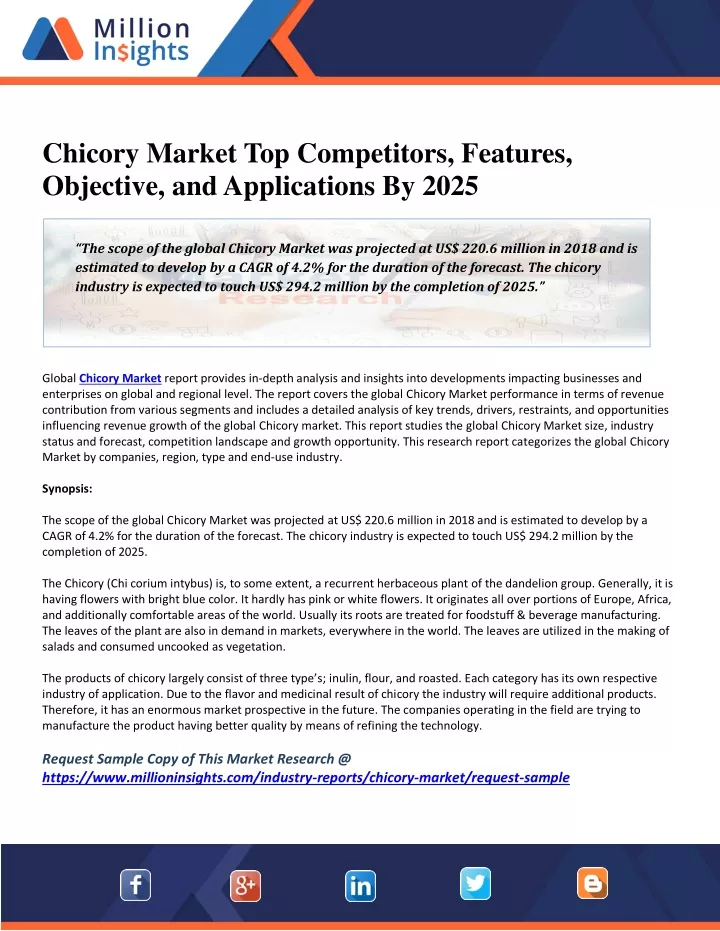 chicory market top competitors features objective