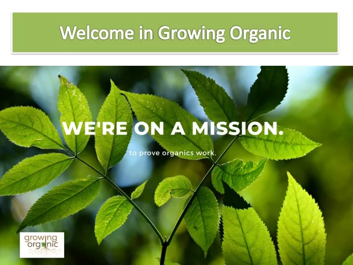 welcome in growing organic