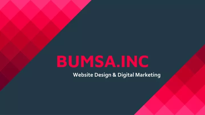 bumsa inc