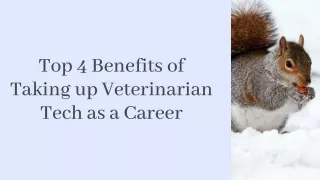 Top 4 Benefits of Taking up Veterinarian Tech as a Career