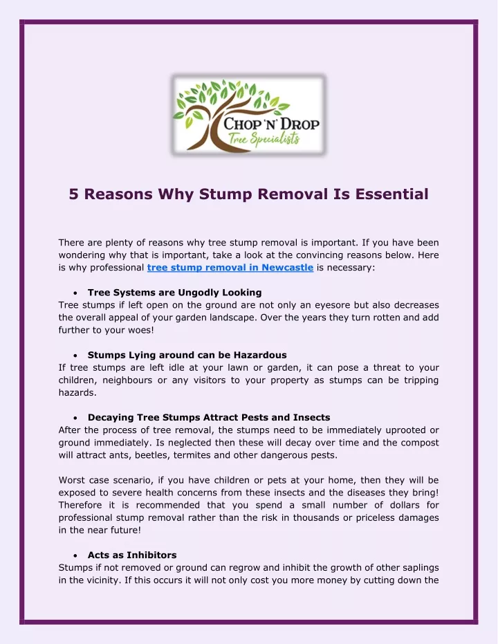 5 reasons why stump removal is essential