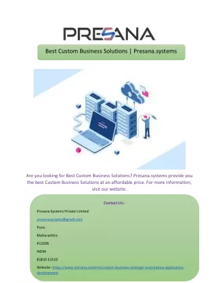 best custom business solutions presana systems