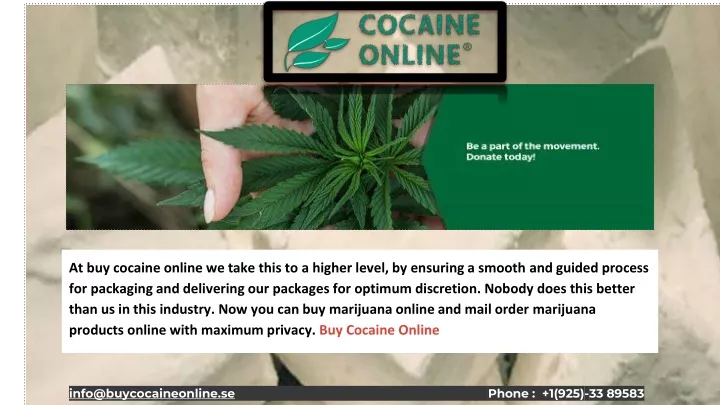 at buy cocaine online we take this to a higher