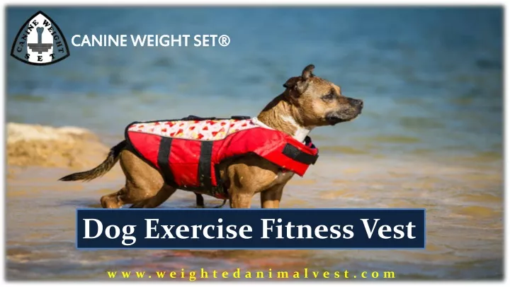 canine weight set