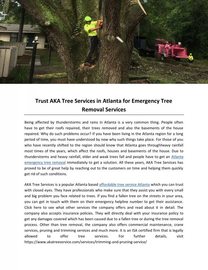 trust aka tree services in atlanta for emergency