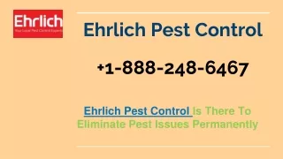 ehrlich pest control 1 888 248 6467