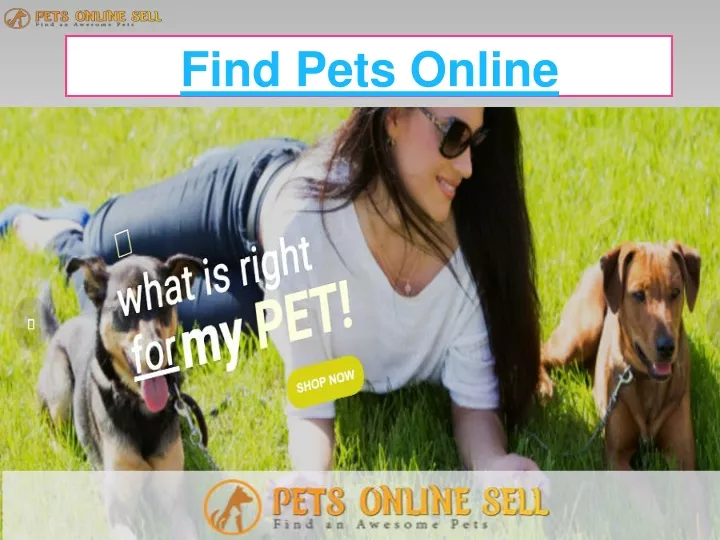 find pets online