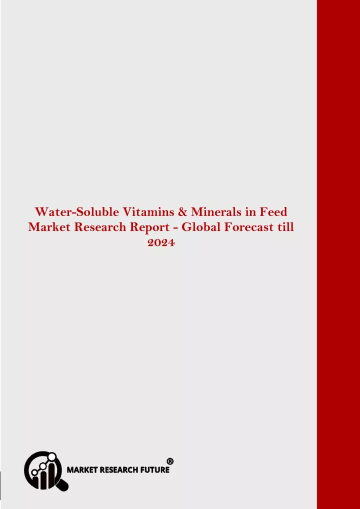 water soluble vitamins minerals in feed market
